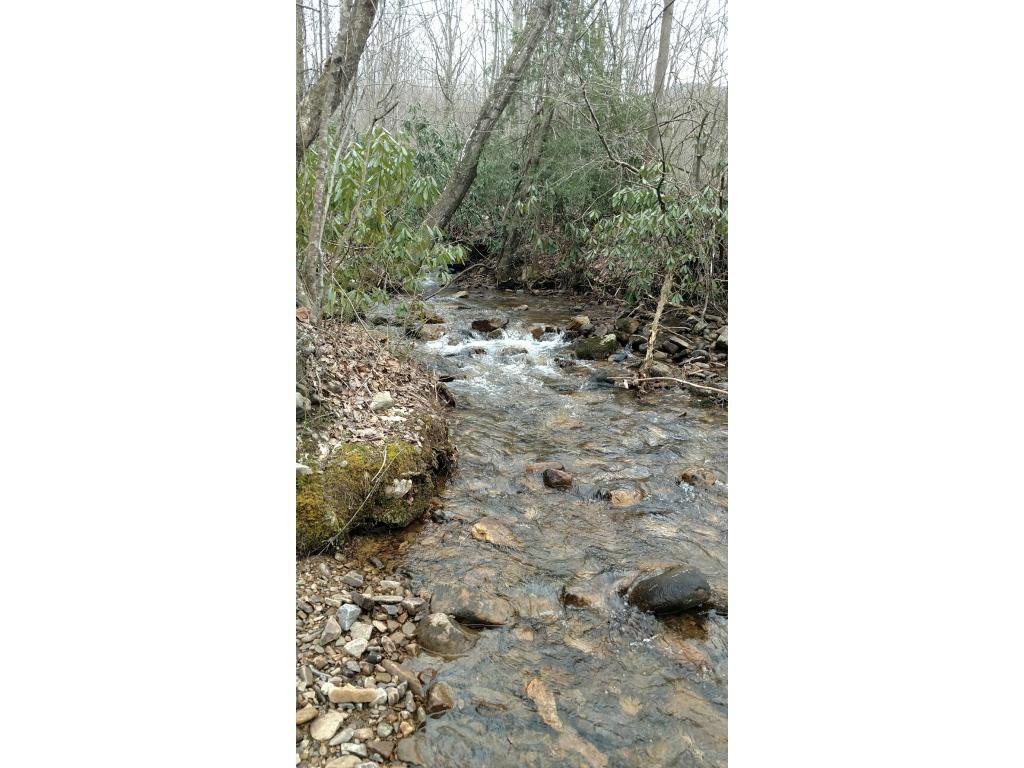 299 Hodge Branch Road Elizabethton, TN 37643 - Photo 3 of 4 Photo 3