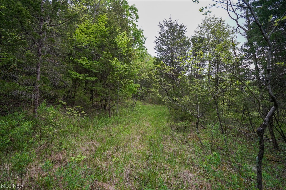 Bentonville Rd Union West Union, OH 45693 - Photo 1 of 35 Gallery Image 1