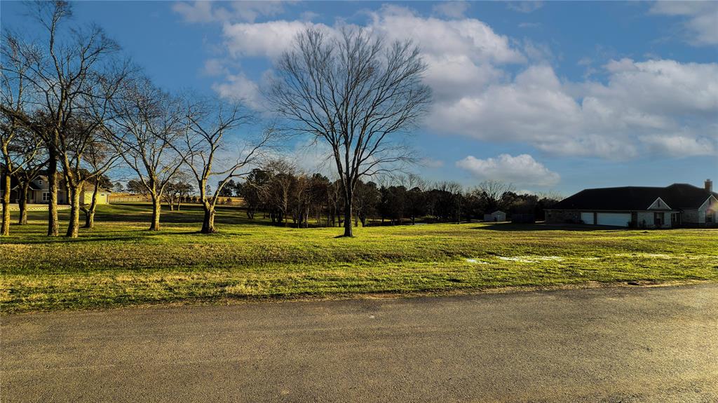 5455 Saddle Ridge Court Athens, TX 75752 - Photo 13 of 25 View of yard with a garage