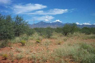 355 Via Naranja Rio Rico, AZ 85648 - Photo 3 of 7