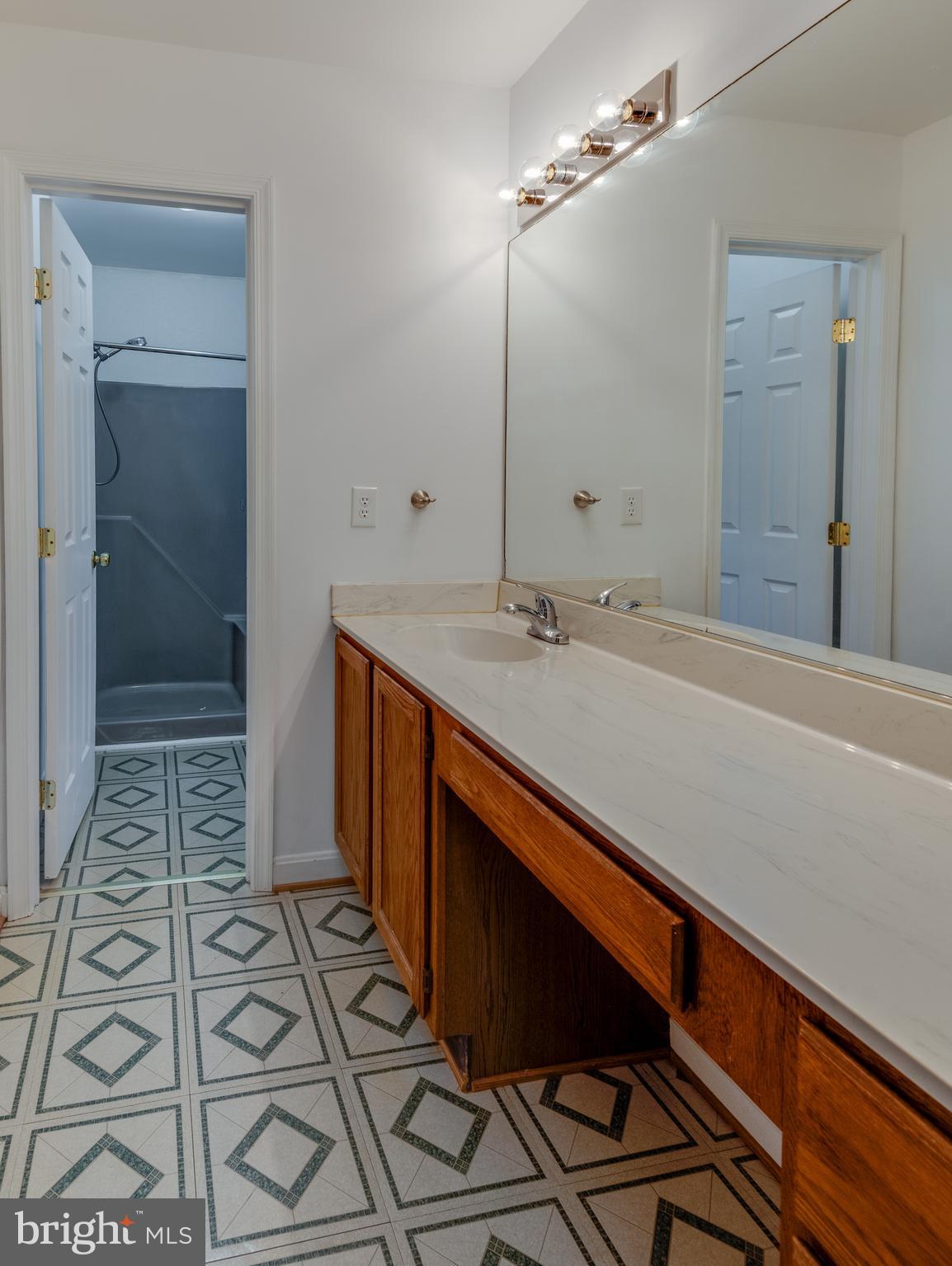 8413 Manor View Road Lusby, MD 20657 - Photo 22 of 48 a bathroom with a sink and a mirror