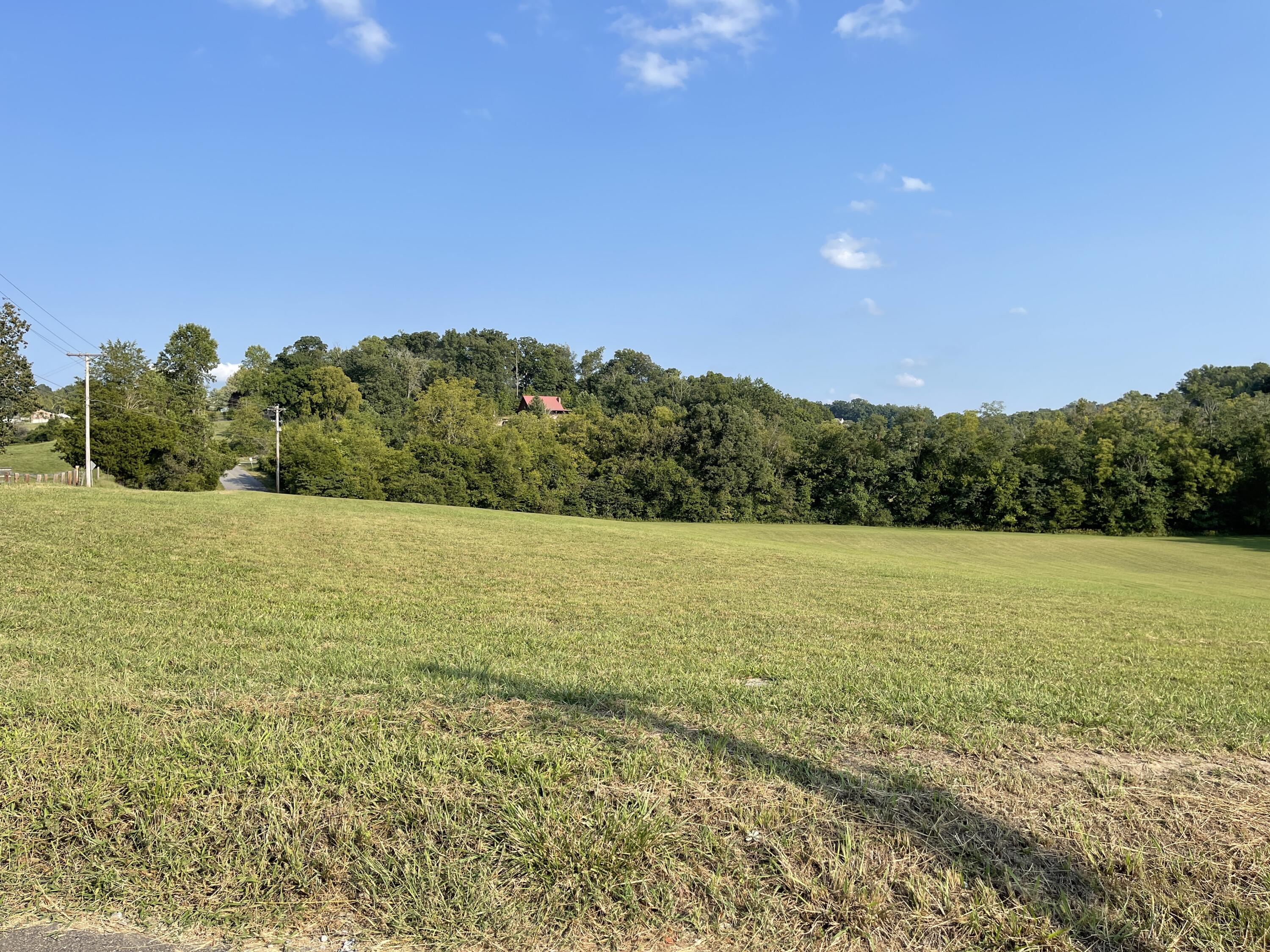 Pratt Road Road Talbott, TN 37877 - Photo 1 of 11 IMG_4799