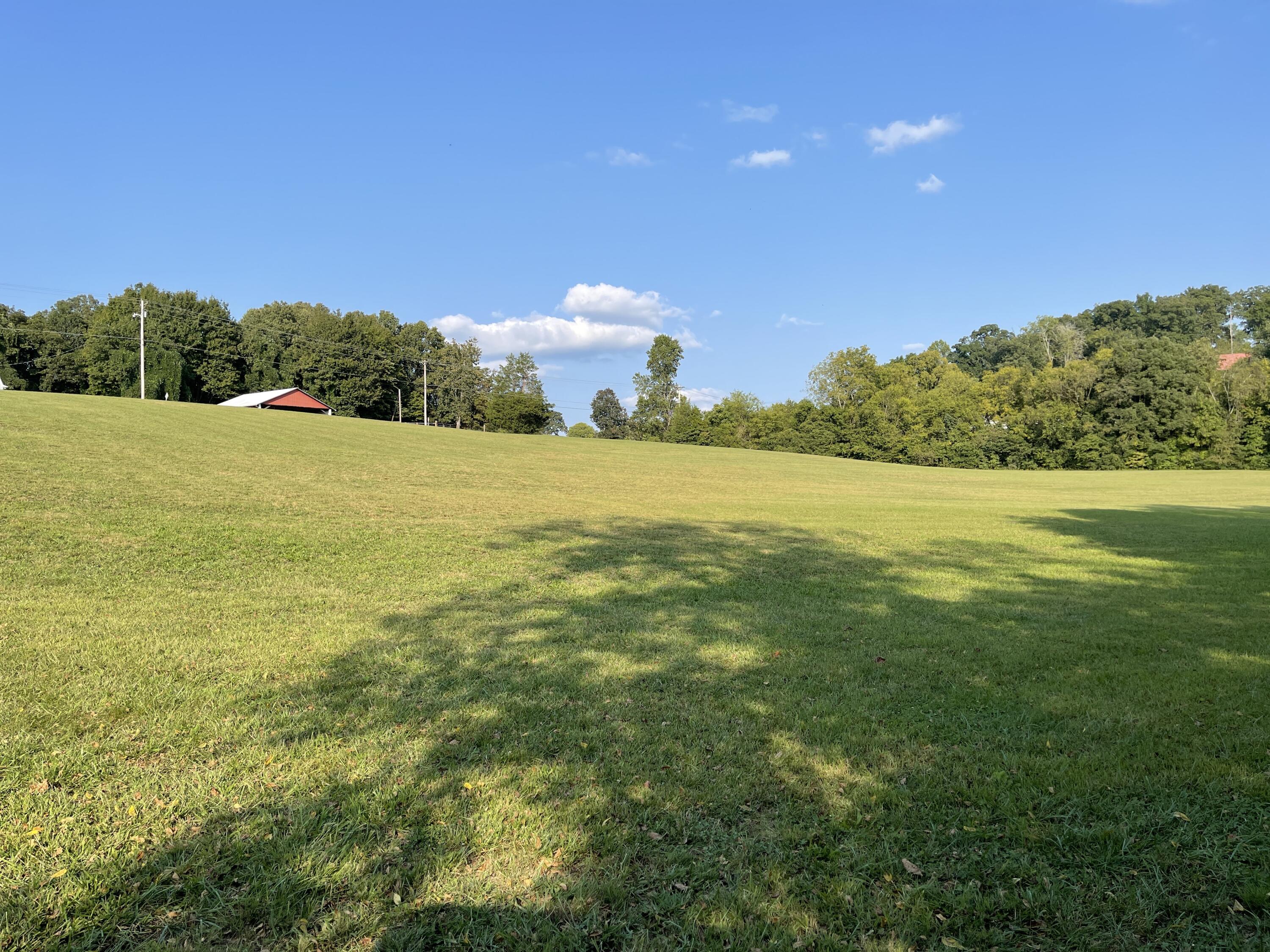 Pratt Road Road Talbott, TN 37877 - Photo 2 of 11 IMG_4802