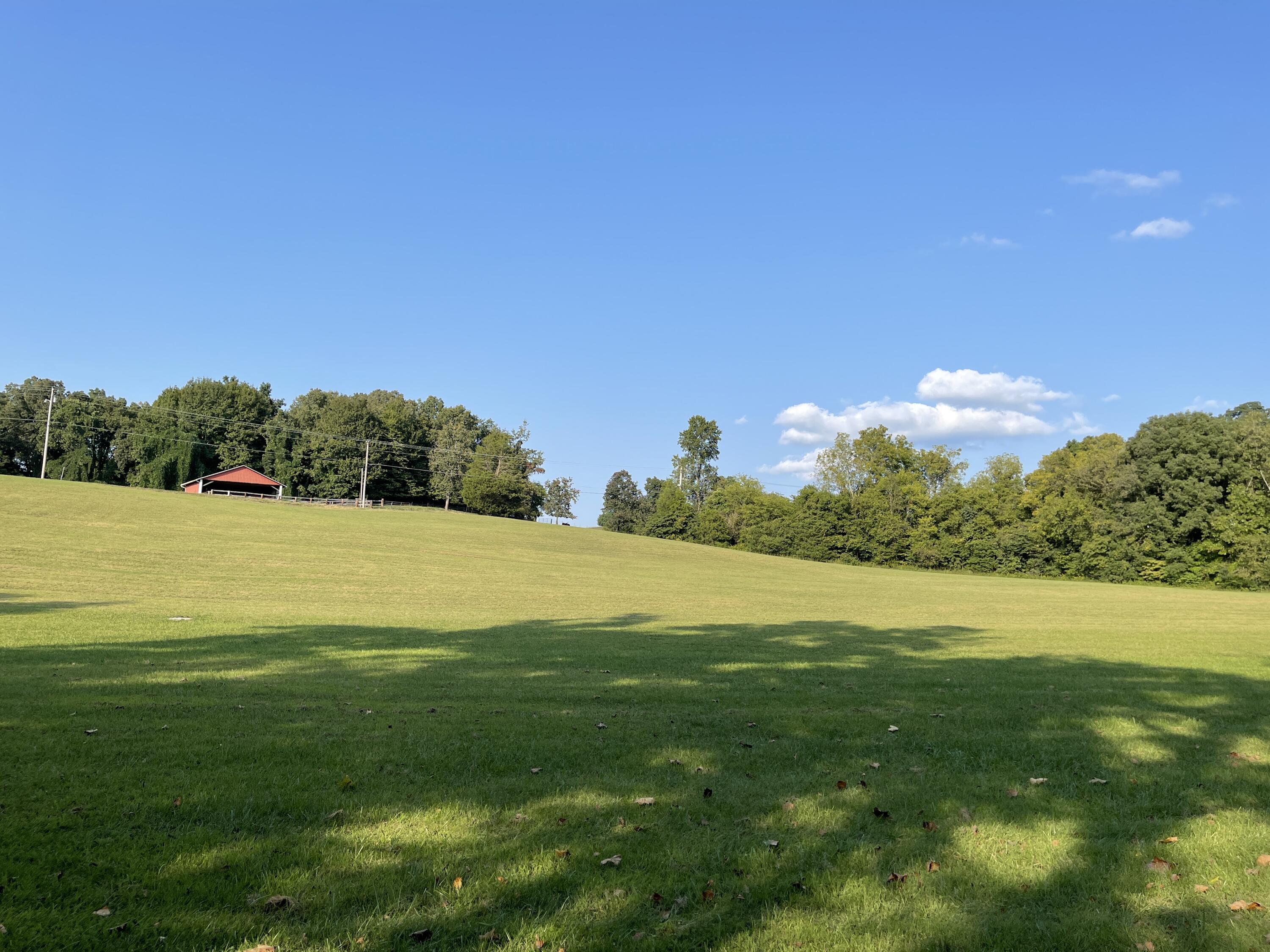 Pratt Road Road Talbott, TN 37877 - Photo 5 of 11 IMG_4805