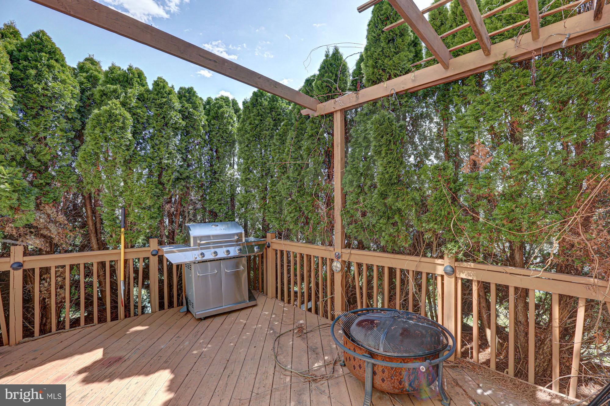 156 Springfield Circle Middletown, DE 19709 - Photo 10 of 76