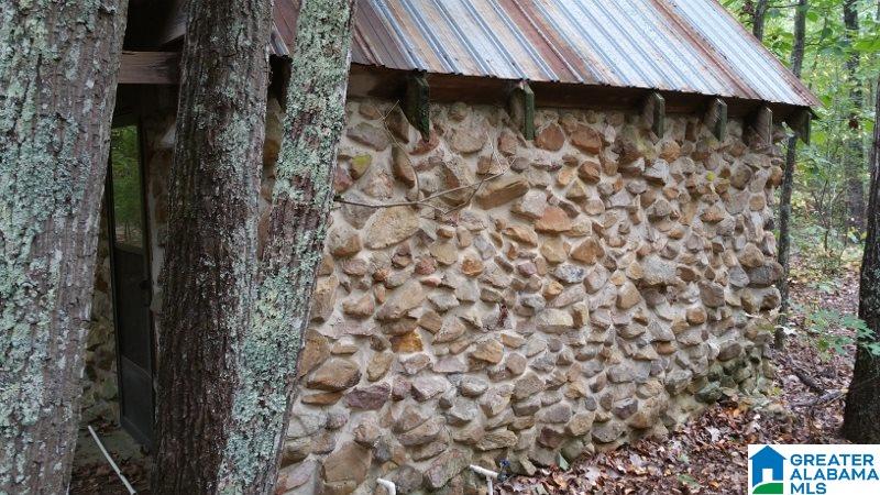 793 County Road Centre, AL 35960 - Photo 3 of 32