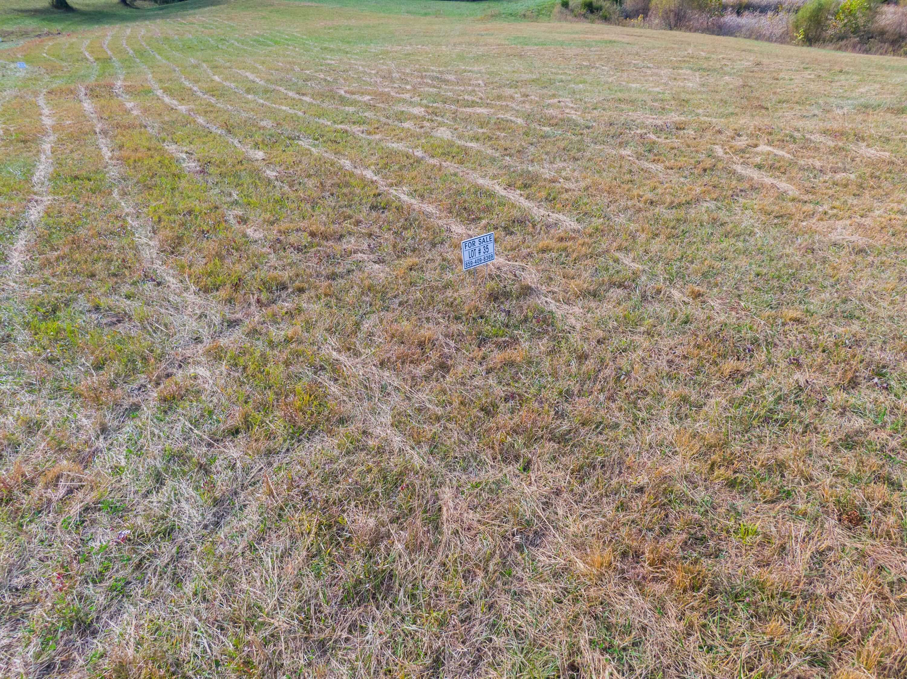 Lot 35 Spring Branch Hollow Road Nancy, KY 42544 - Photo 1 of 3 Nancy Land Photos-24
