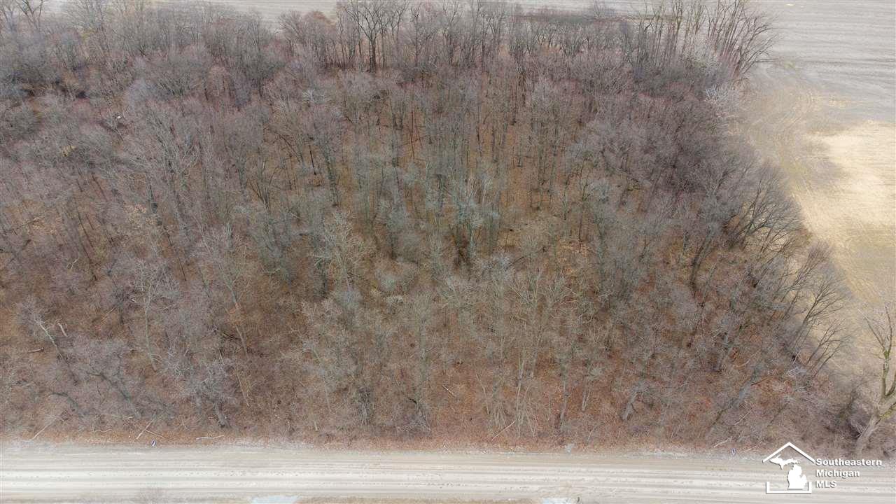 0 Wells Road Petersburg, MI 49270 - Photo 4 of 10