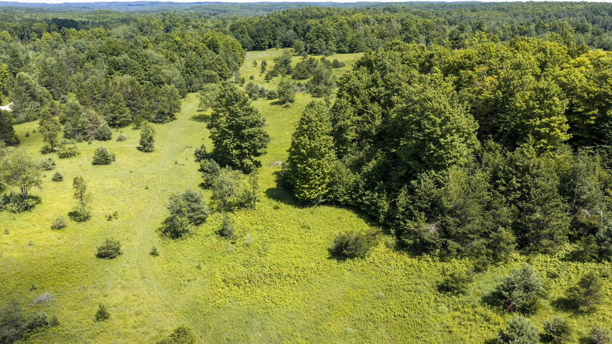1030 Mayhew Road Rose City, MI 48654 - Photo 25 of 32