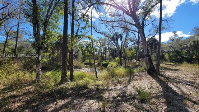 $219,000 | Blk 16-lots 1-16 San Jose Wright Street, LaBelle, FL 33935