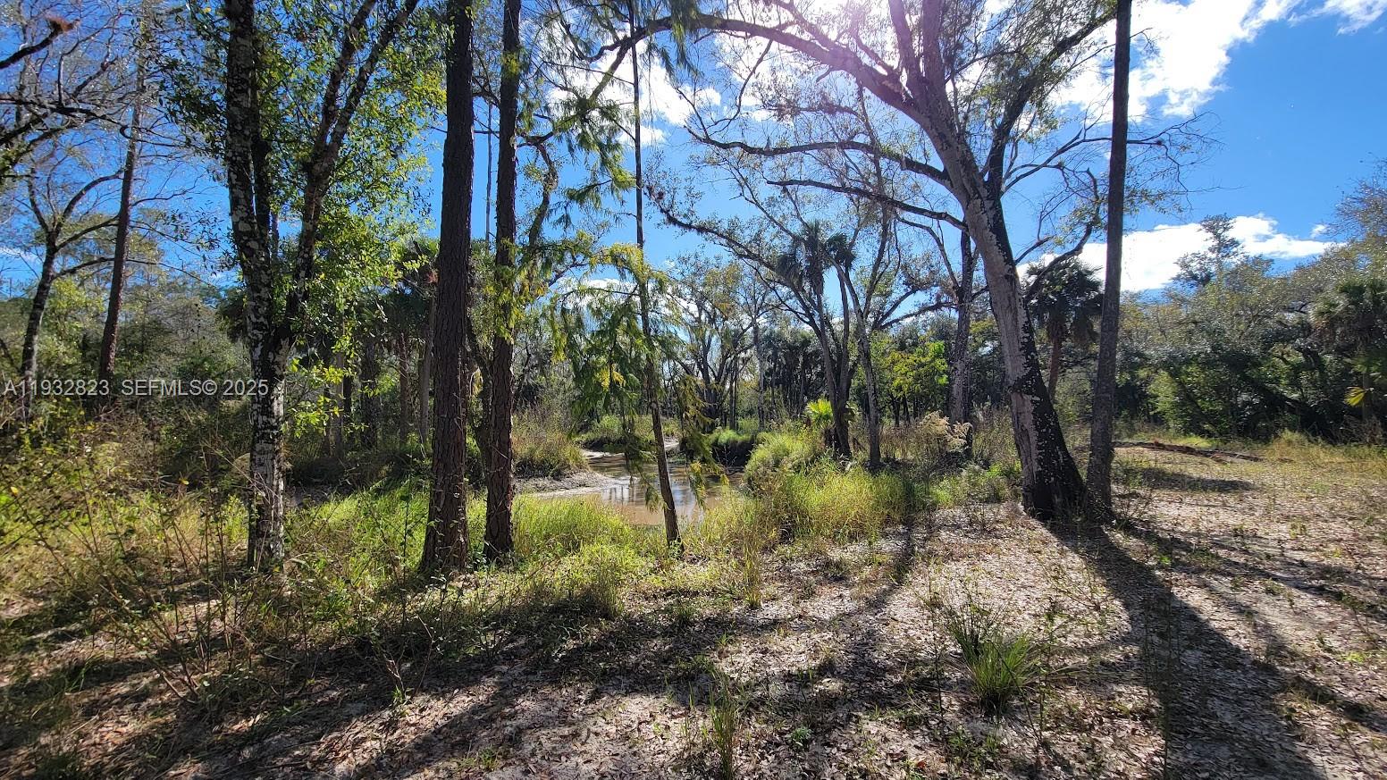 1 Wright Street LaBelle, FL 33935 - Photo 3 of 7 a backyard of a house with lots of green space