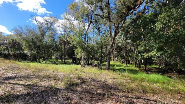 $219,000 | Blk 16-lots 1-16 San Jose Wright Street, LaBelle, FL 33935