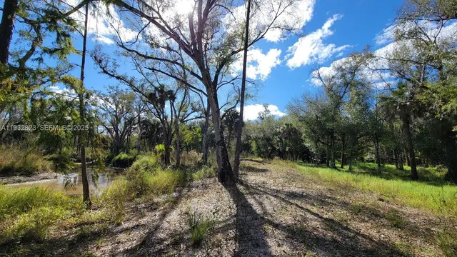 $219,000 | Blk 16-lots 1-16 San Jose Wright Street, LaBelle, FL 33935