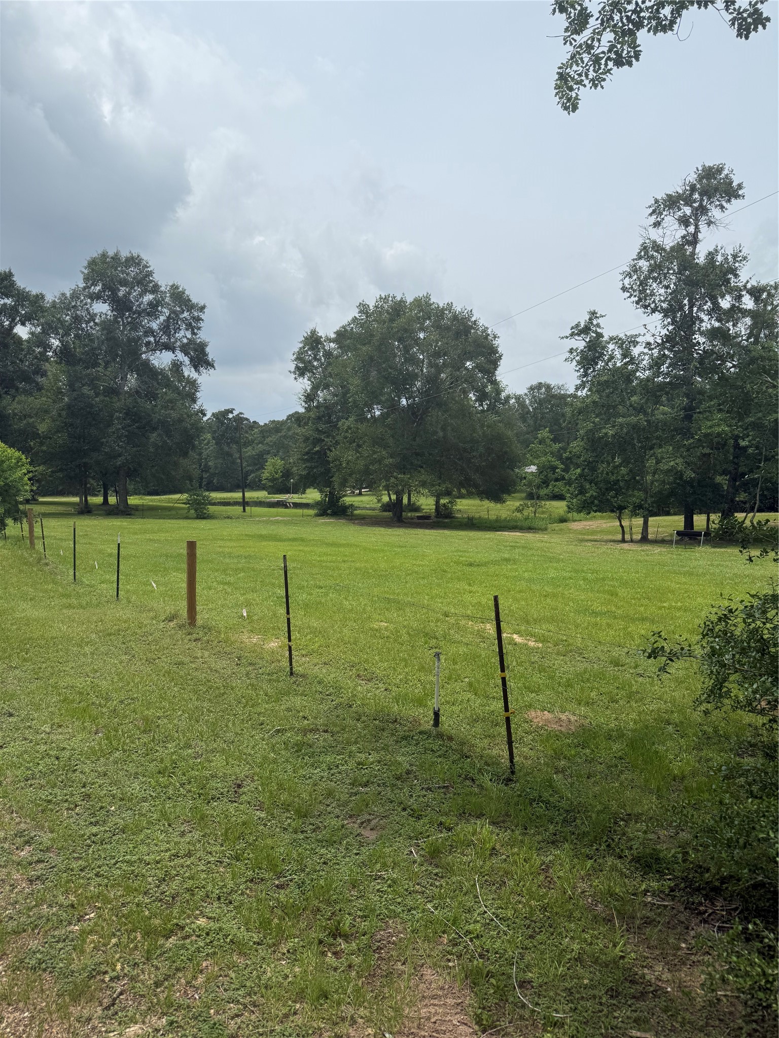 8952 County Line Road Willis, TX 77378 - Photo 4 of 5