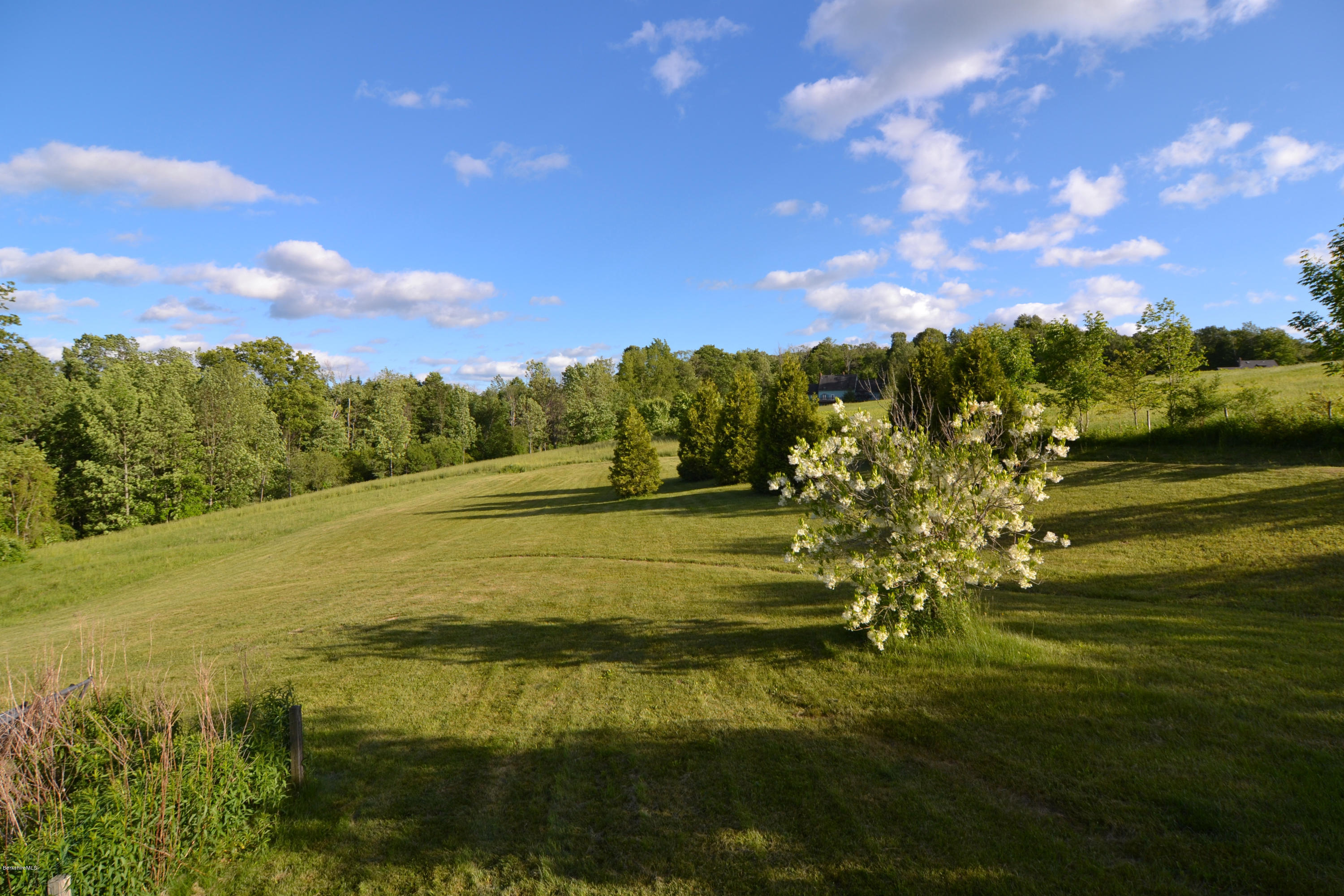 71 Bailey Road Lanesborough, MA 01237 - Photo 24 of 28 Side Field