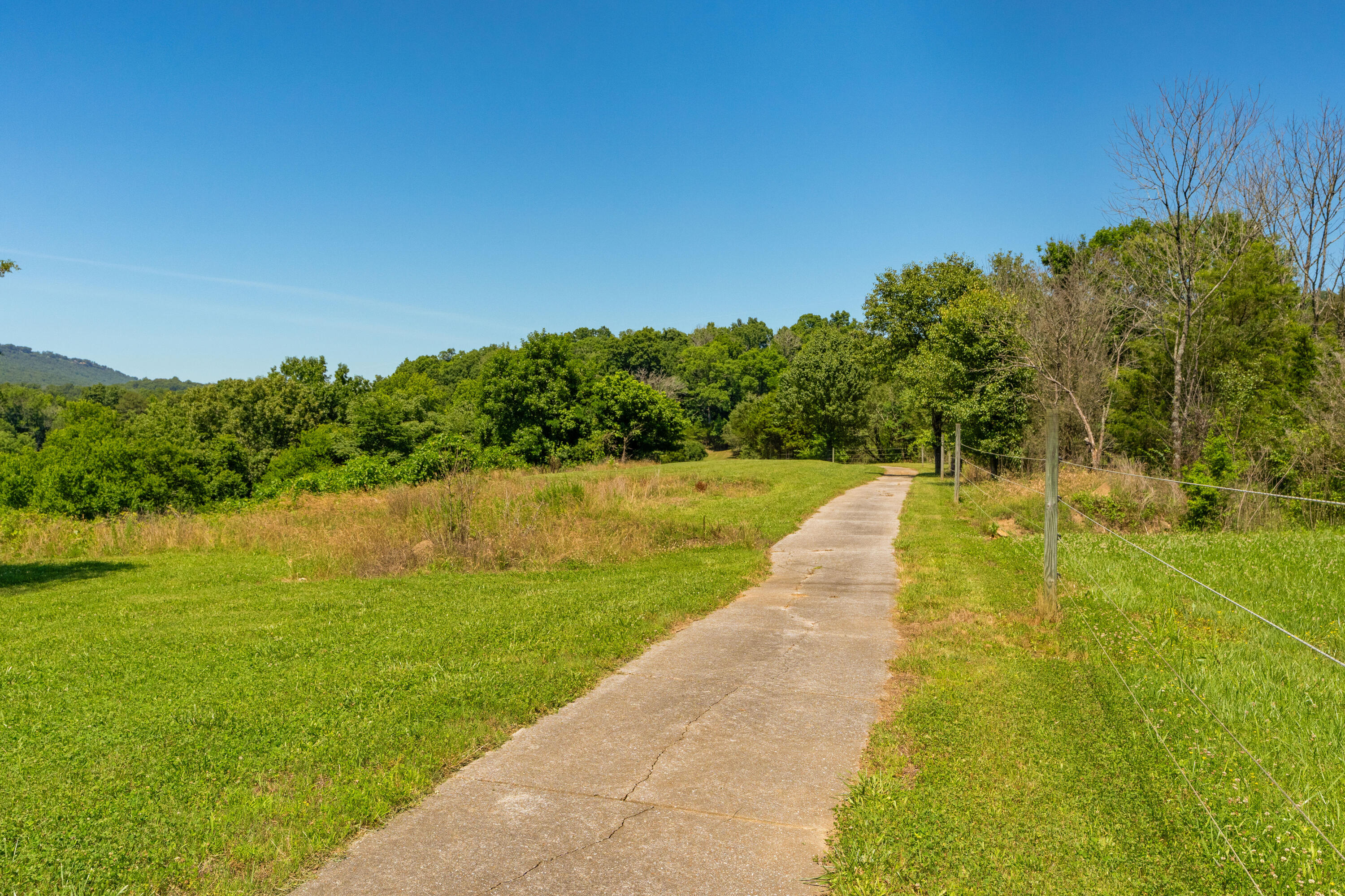 527 Reads Lake Road Chattanooga, TN 37415 - Photo 86 of 100 108 - 527 Reads Lake - Grounds