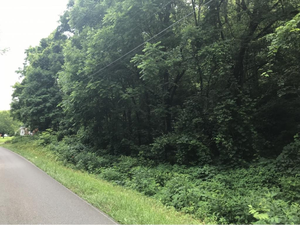 995 Emmett Road, Unit 3 Bristol, TN 37620 - Photo 11 of 16 Photo 11