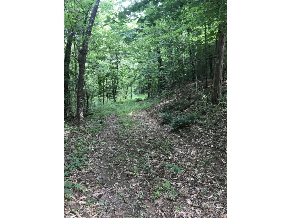 995 Emmett Road, Unit 3 Bristol, TN 37620 - Photo 3 of 16 Photo 3