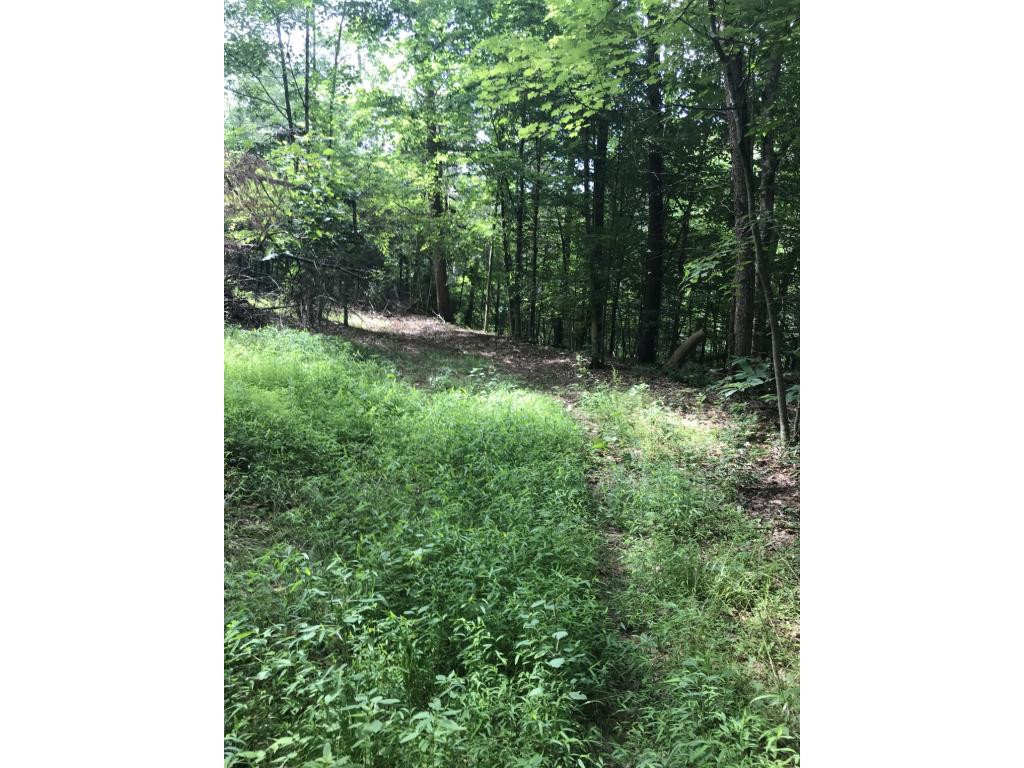995 Emmett Road, Unit 3 Bristol, TN 37620 - Photo 4 of 16 Photo 4