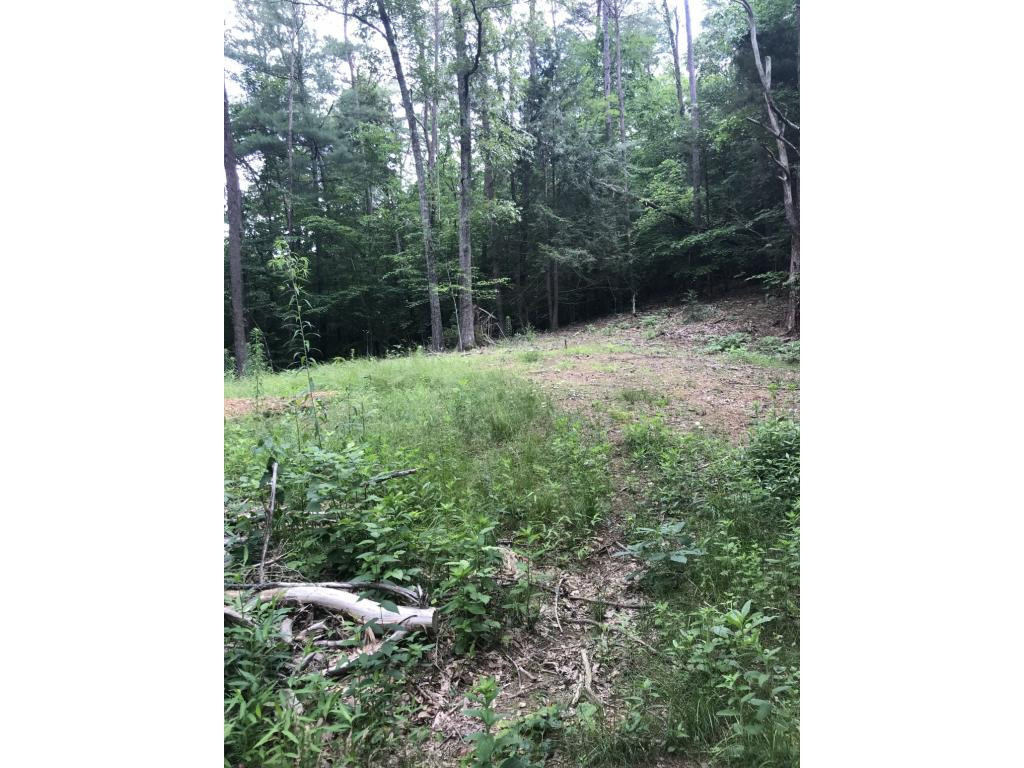 995 Emmett Road, Unit 3 Bristol, TN 37620 - Photo 5 of 16 Photo 5