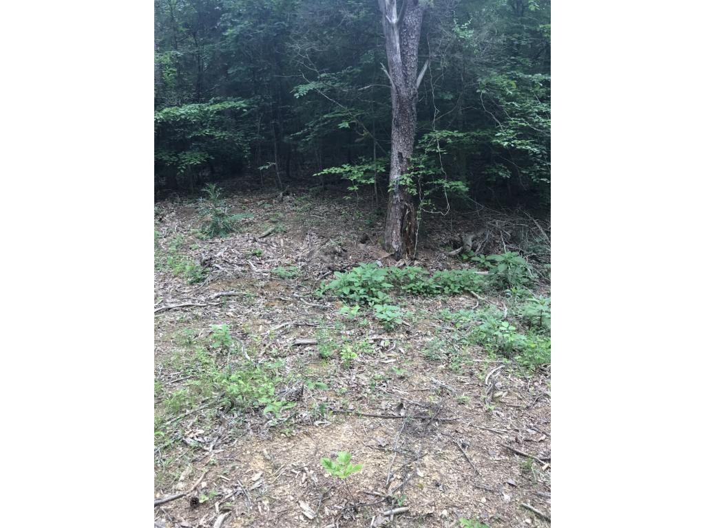 995 Emmett Road, Unit 3 Bristol, TN 37620 - Photo 7 of 16 Photo 7