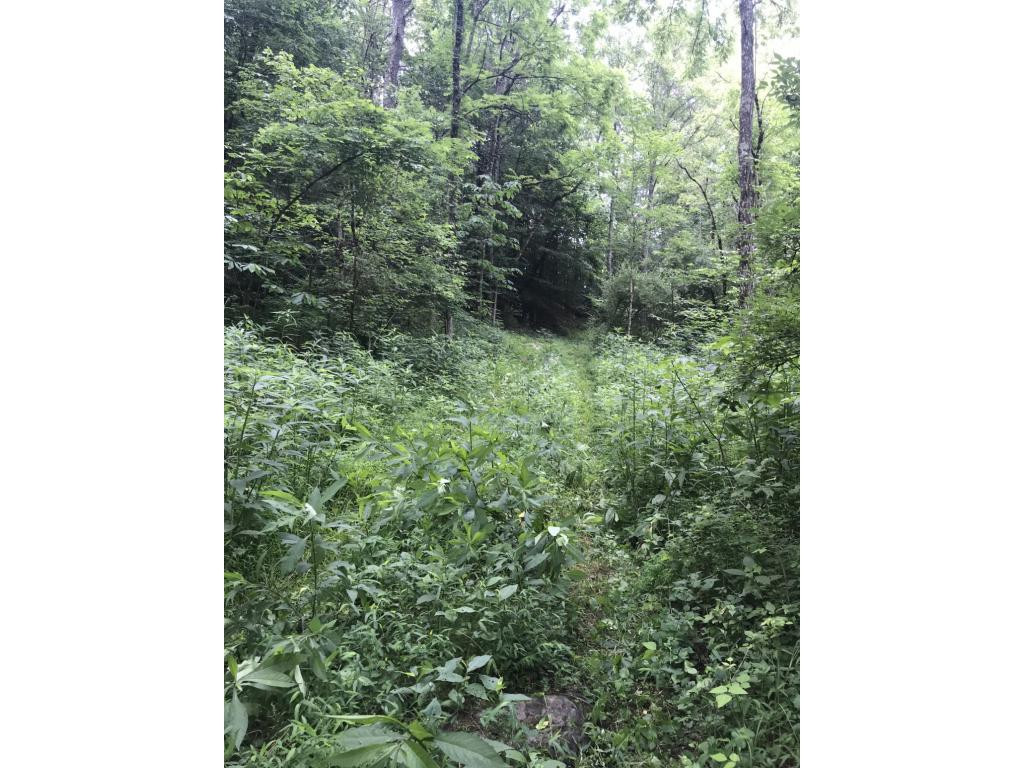 995 Emmett Road, Unit 3 Bristol, TN 37620 - Photo 8 of 16 Photo 8