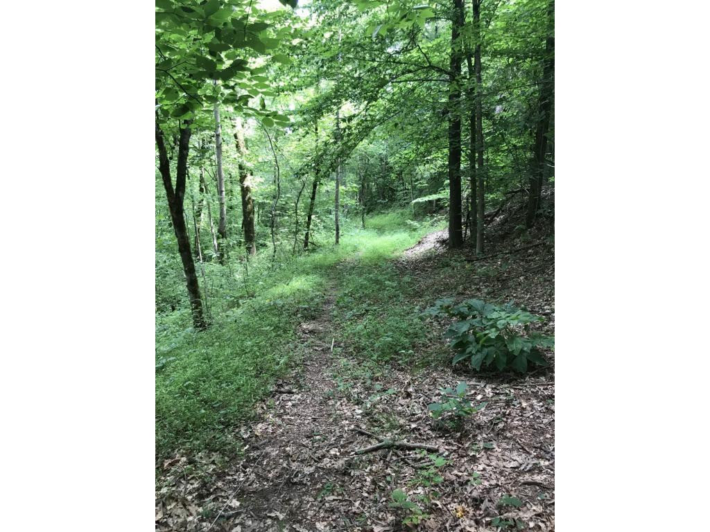 995 Emmett Road, Unit 3 Bristol, TN 37620 - Photo 9 of 16 Photo 9