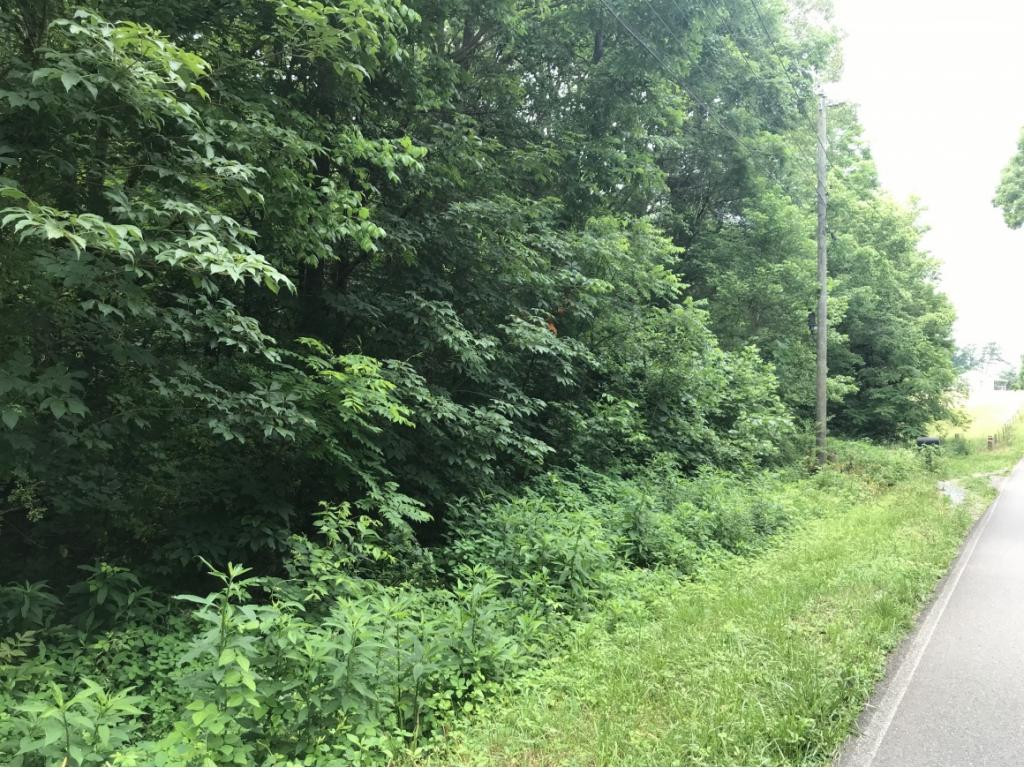 995 Emmett Road, Unit 3 Bristol, TN 37620 - Photo 10 of 16 Photo 10