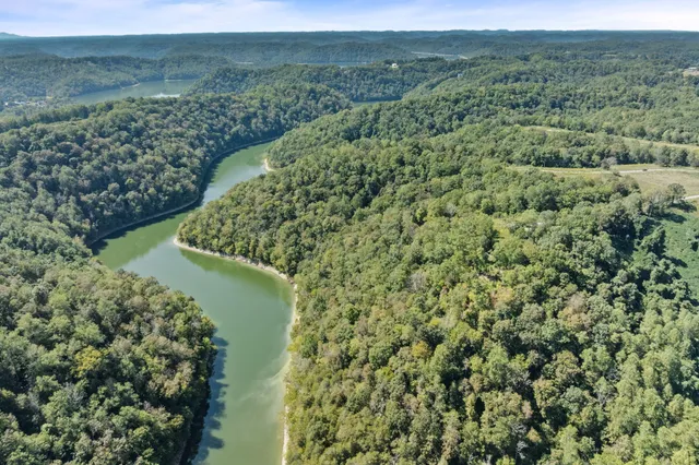 a view of a green yard with an outdoor seating and trees