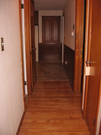 164 Lumae Street Springfield, MA 01119 - Photo 5 of 7 Gallery Image 5