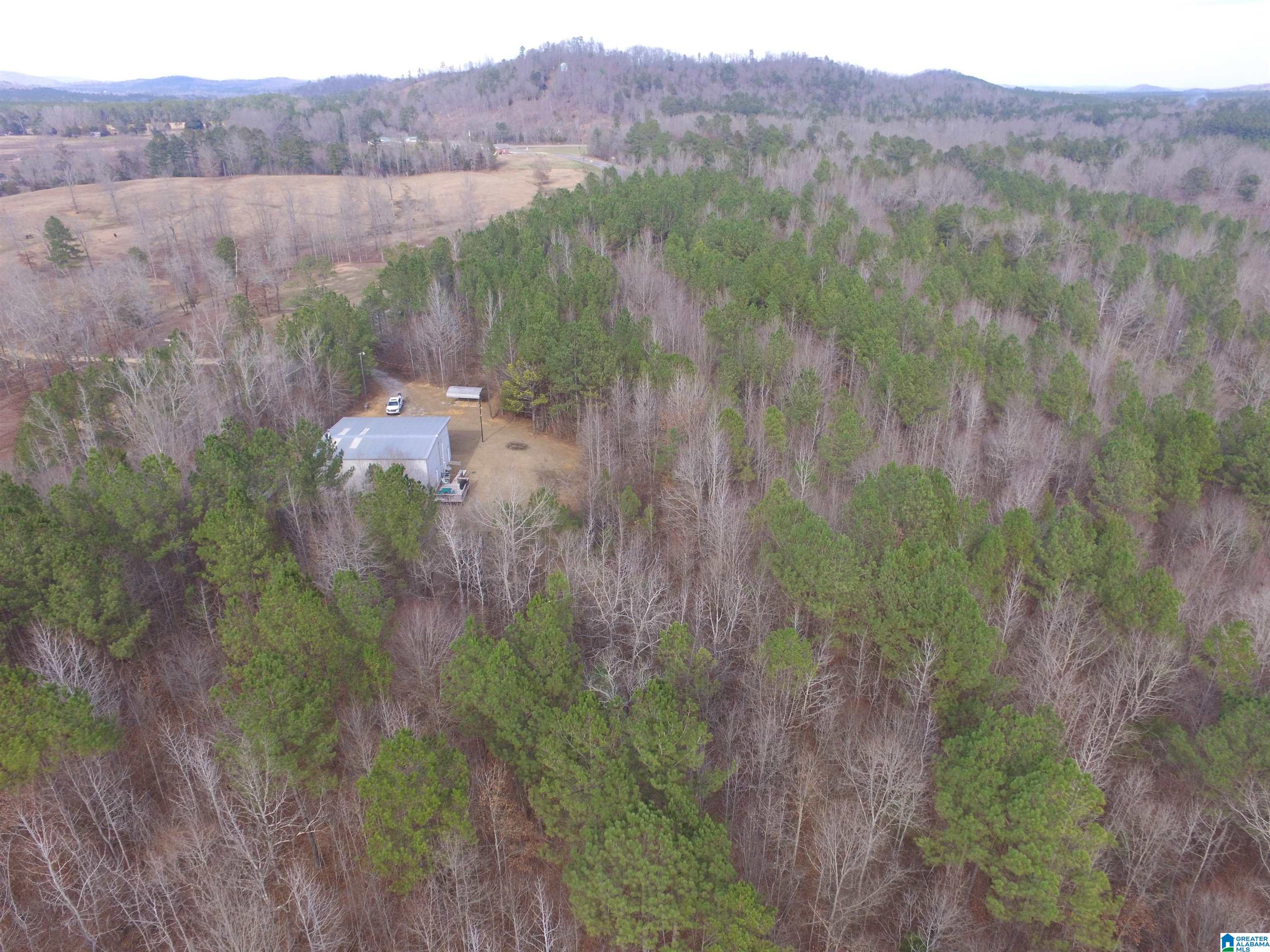 9764 Mudd Street Ohatchee, AL 36271 - Photo 5 of 28