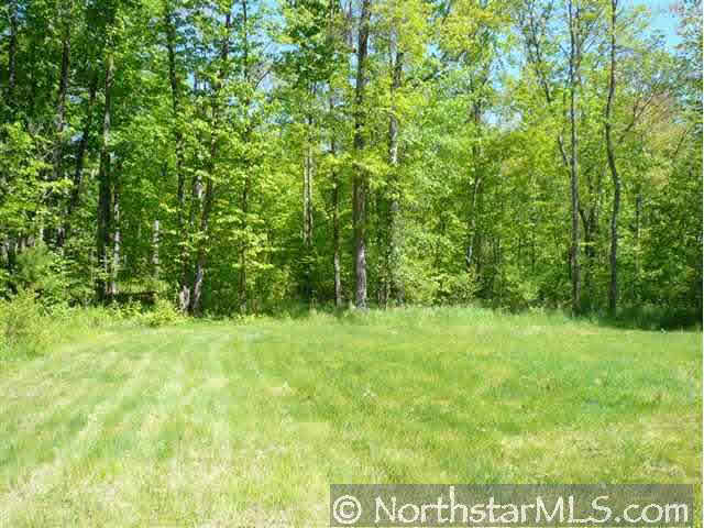 58244 Tamarack River Road Sandstone, MN 55072 - Photo 4 of 4 Gallery Image 4