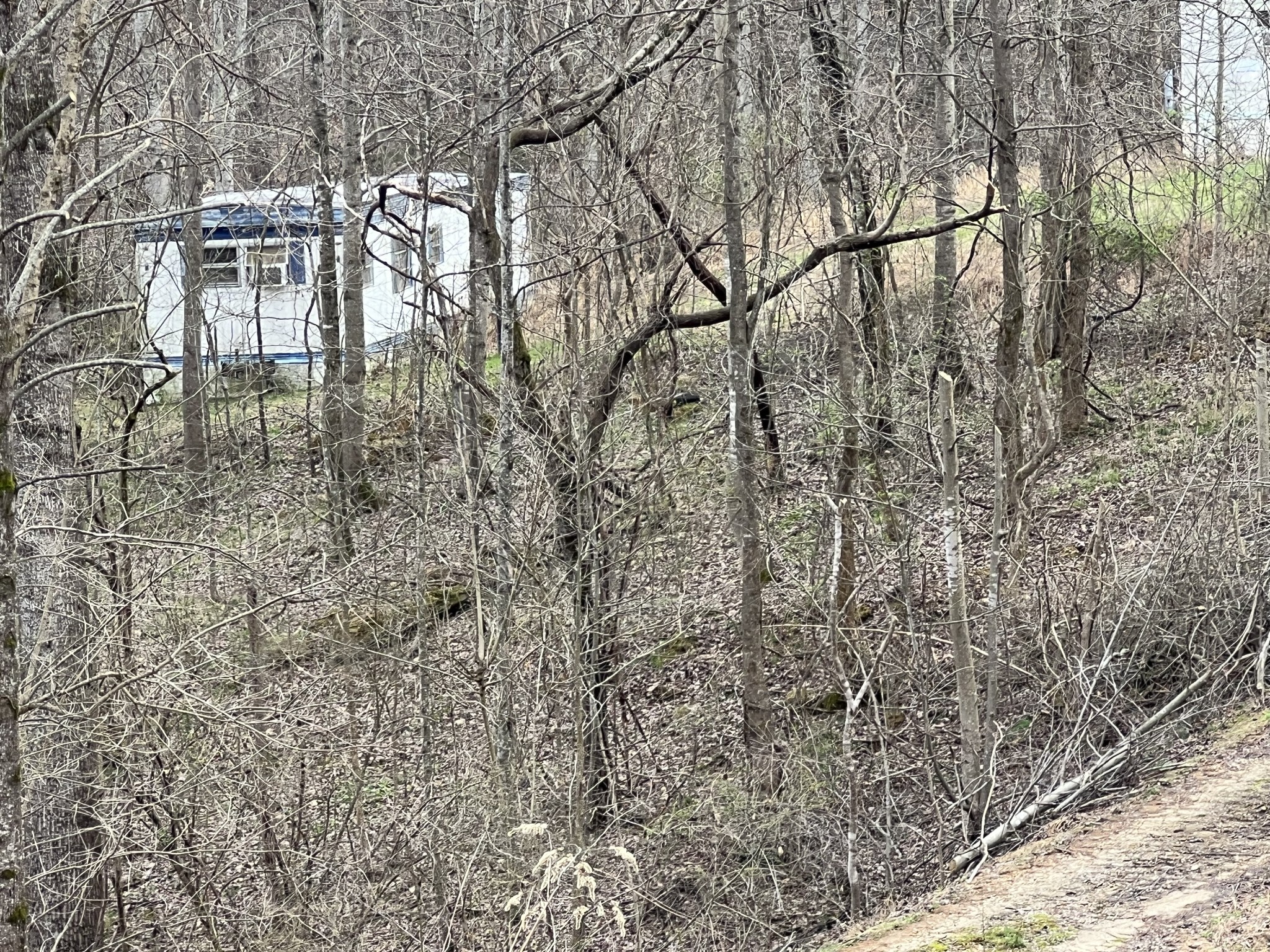 226 Sands Road Pulaski, TN 38478 - Photo 11 of 11 a backyard of a house with lots of green space