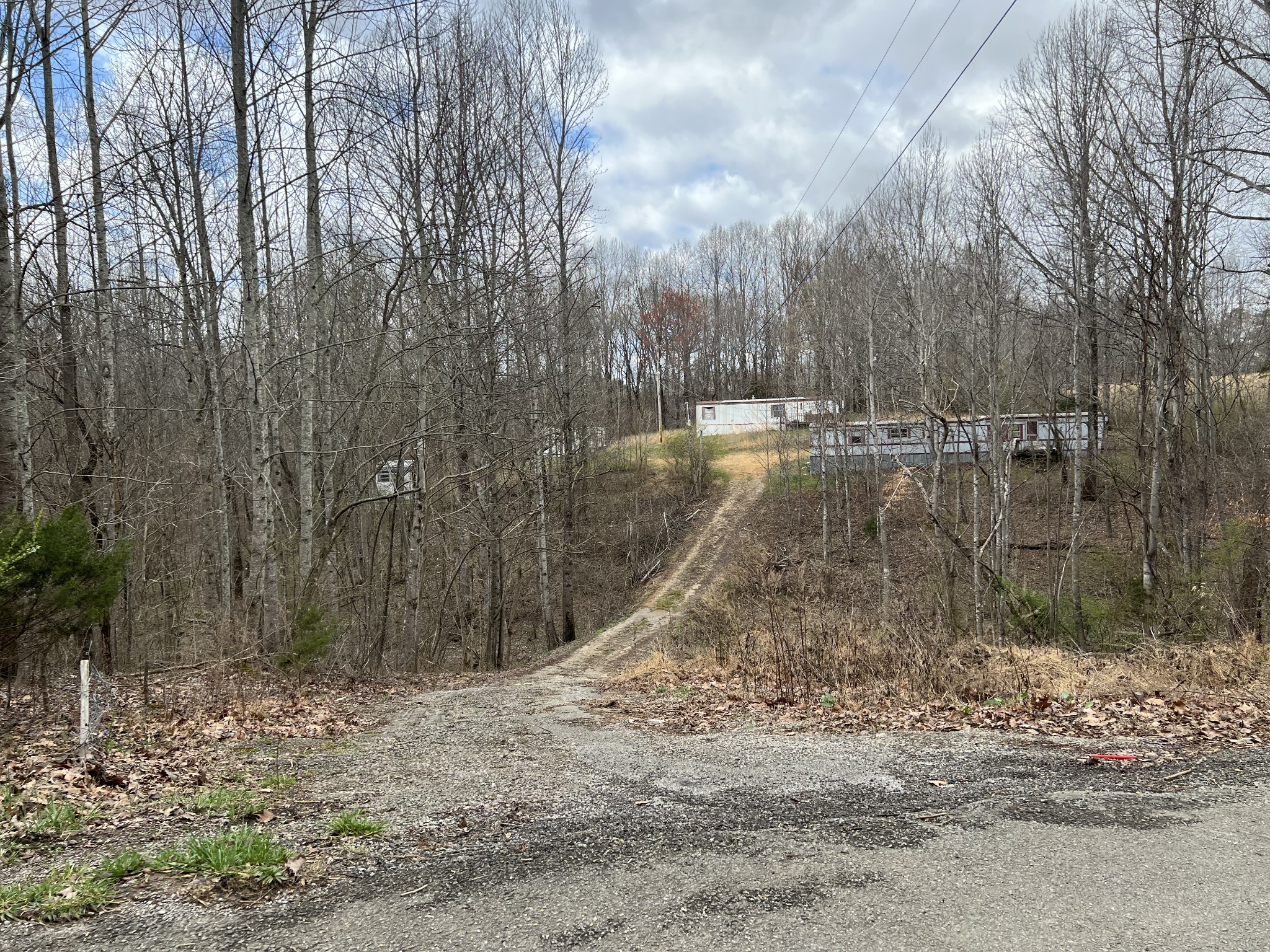 226 Sands Road Pulaski, TN 38478 - Photo 7 of 11 a view of a dry yard with trees