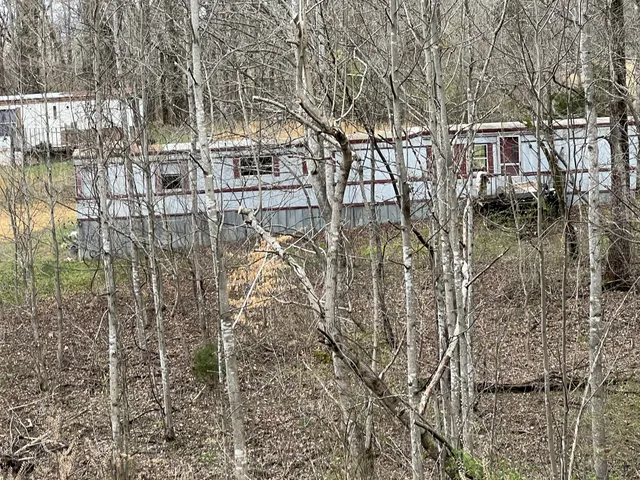 a view of residential houses with yard and trees