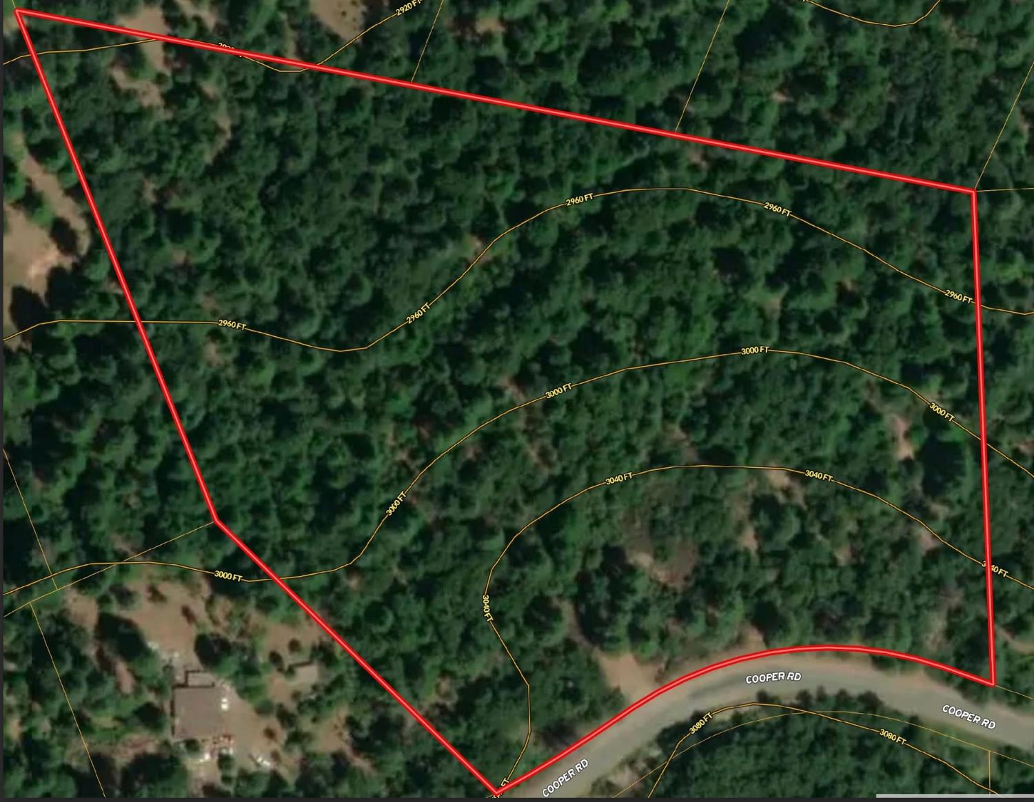 16634 Cooper Road Nevada City, CA 95959 - Photo 3 of 3 a view of a forest