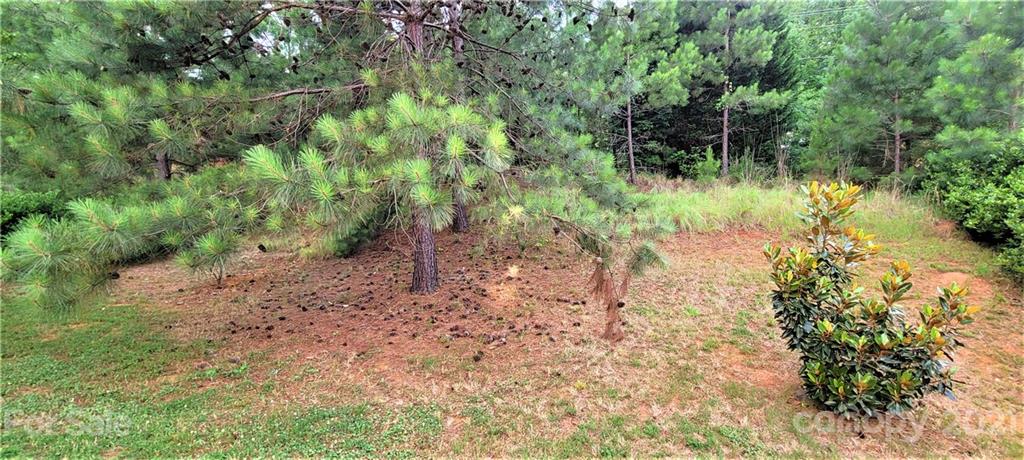 9611 Seamill Road Charlotte, NC 28278 - Photo 24 of 26 a view of a yard with plants and large trees