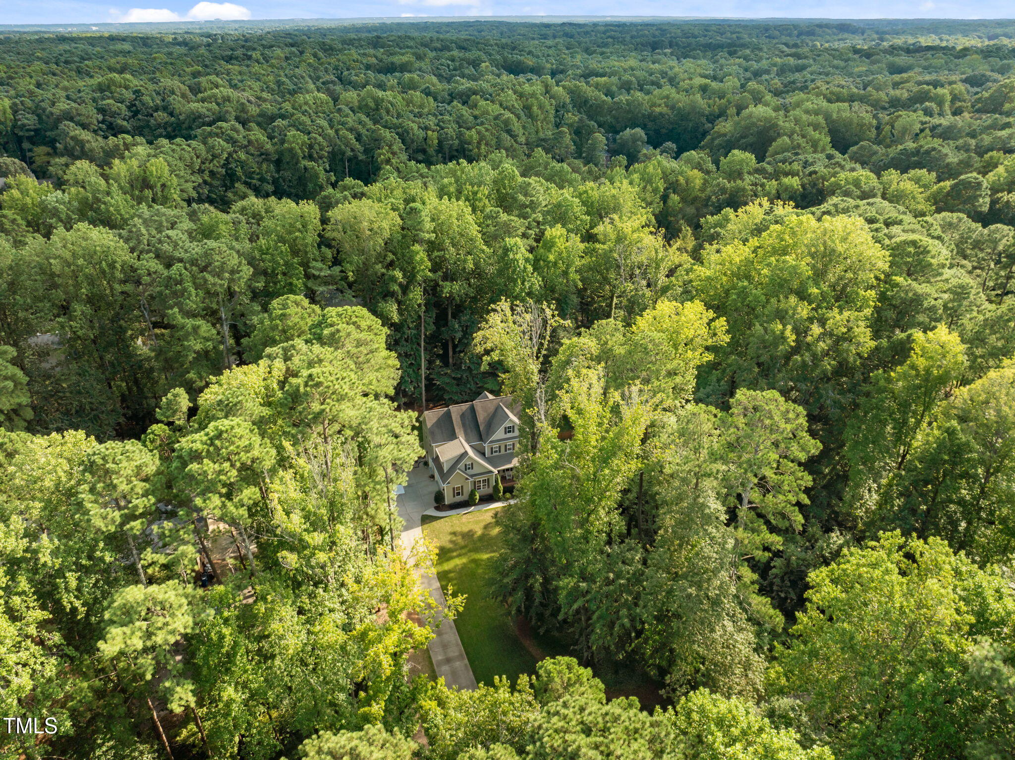 3005 Club Drive Raleigh, NC 27613 - Photo 45 of 45 a view of a forest with a houses