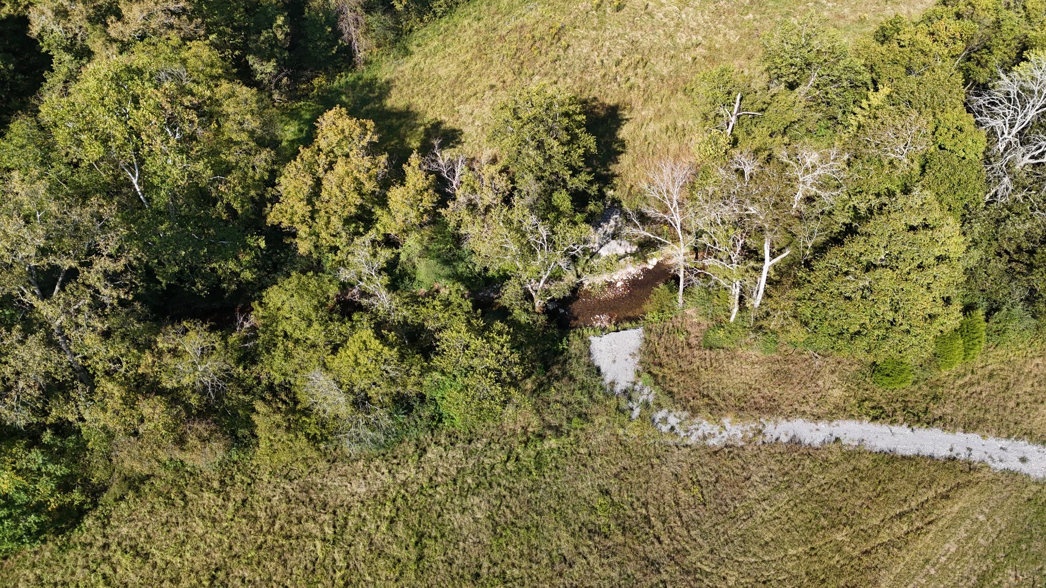 0 Hartsville Road Lafayette, TN 37083 - Photo 11 of 18