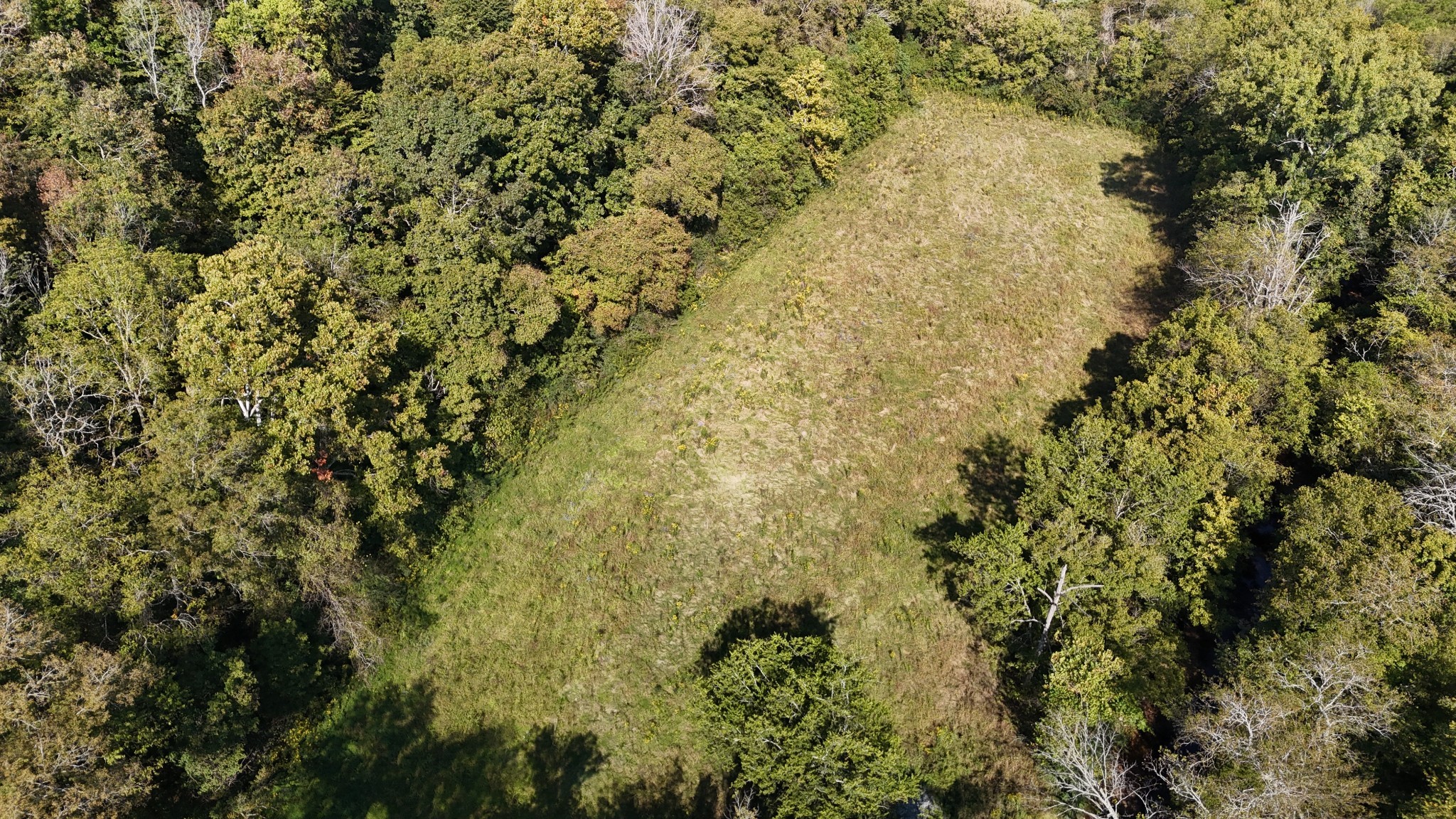 0 Hartsville Road Lafayette, TN 37083 - Photo 12 of 18