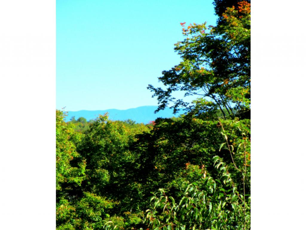 239 Whitcher Road Newbury, VT 05051 - Photo 20 of 33