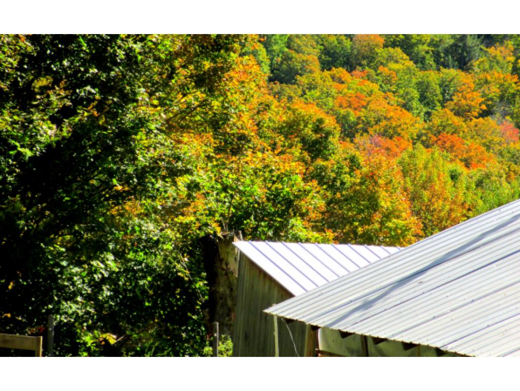 239 Whitcher Road Newbury, VT 05051 - Photo 29 of 33