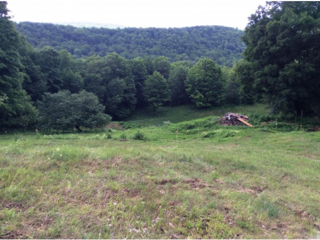239 Whitcher Road Newbury, VT 05051 - Photo 10 of 33