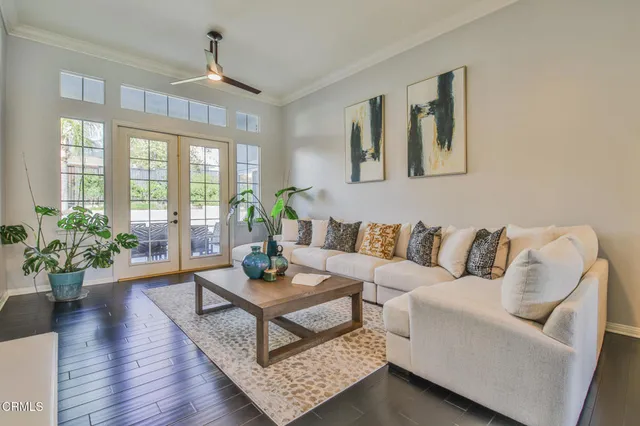 a living room with furniture potted plant and windows