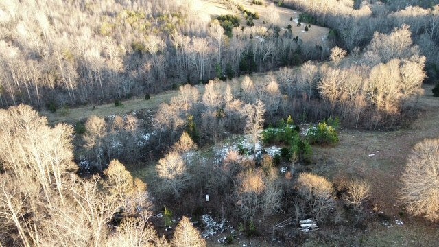 5540 Crumptown Road Farmville, VA 23901 - Photo 11 of 12 Gallery Image 11