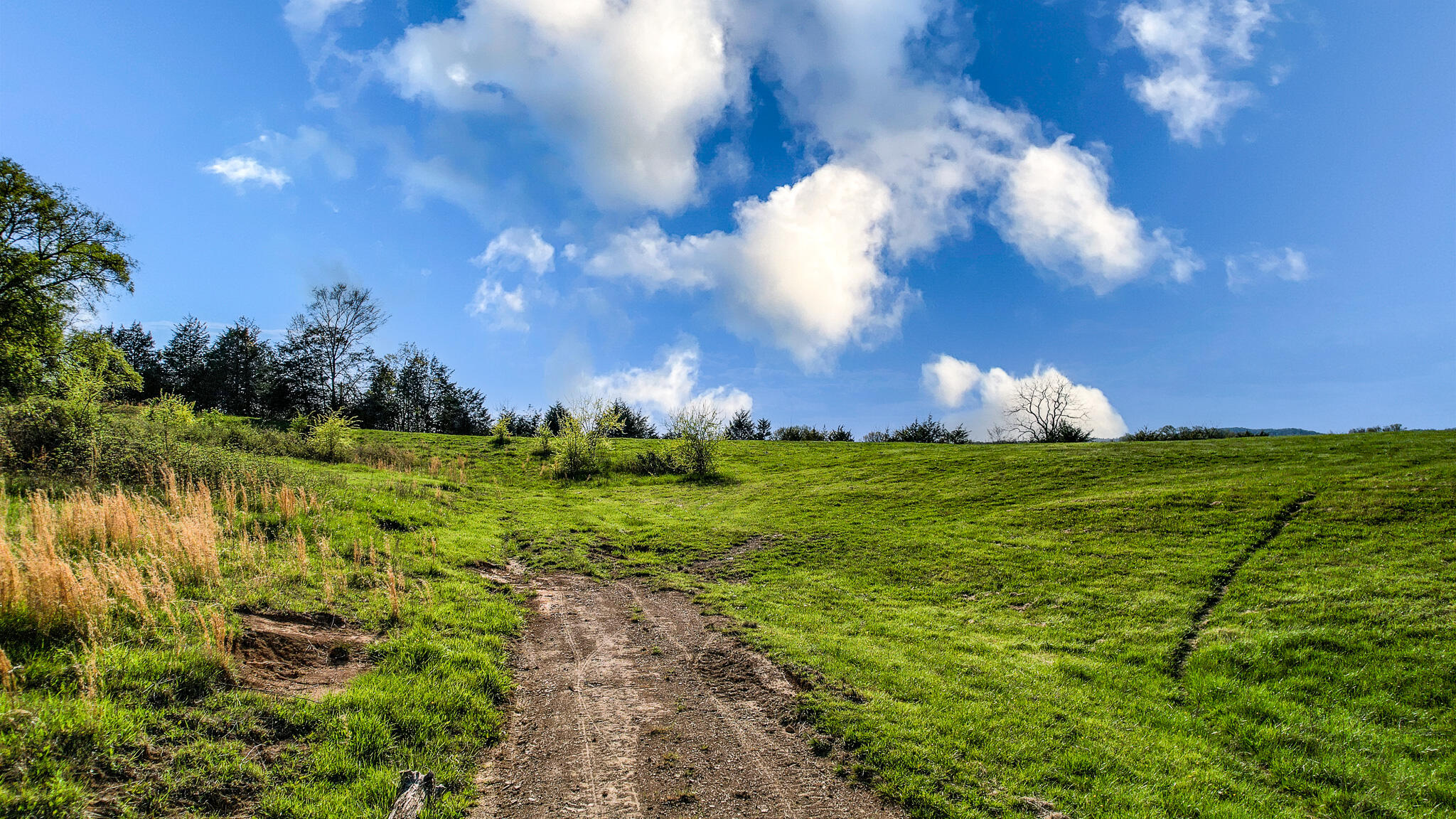 Tbd Potter Town Road Midway, TN 37809 - Photo 3 of 25 DJI_0802-Edit