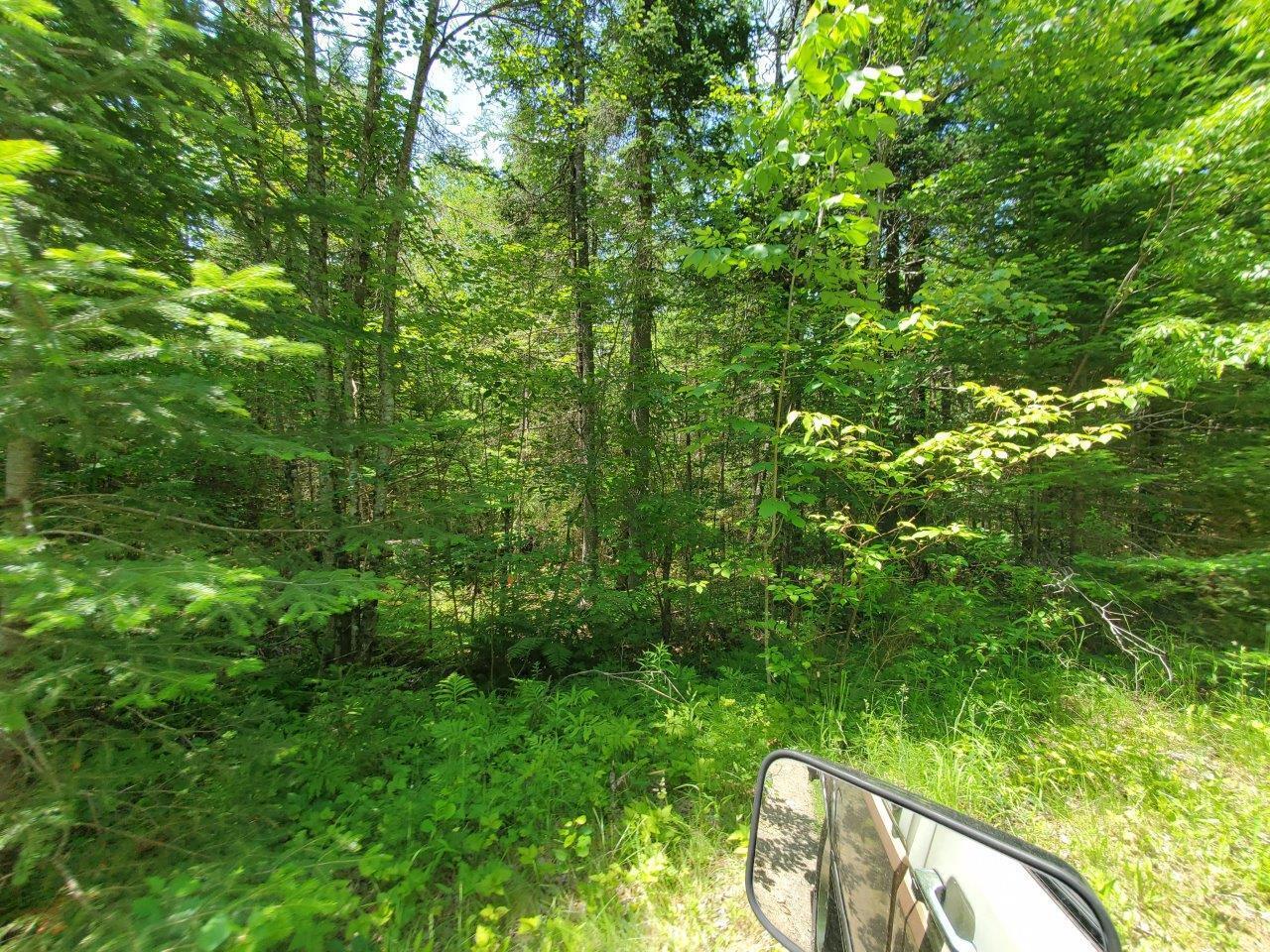 0 Morgan Road Burnham, ME 04922 - Photo 37 of 69 20250617_124242