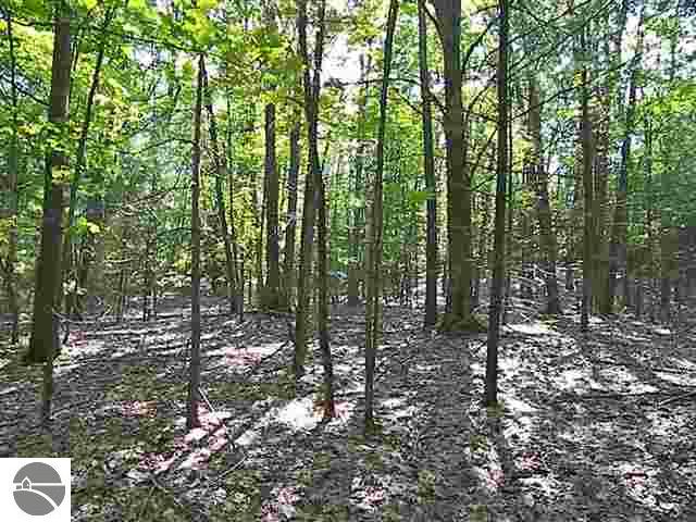4706 South Wheeler Road Maple City, MI 49664 - Photo 5 of 15 1707120-4.JPG