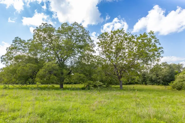 a view of a big yard with lots of green space