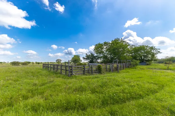 a view of a backyard with plants and trees